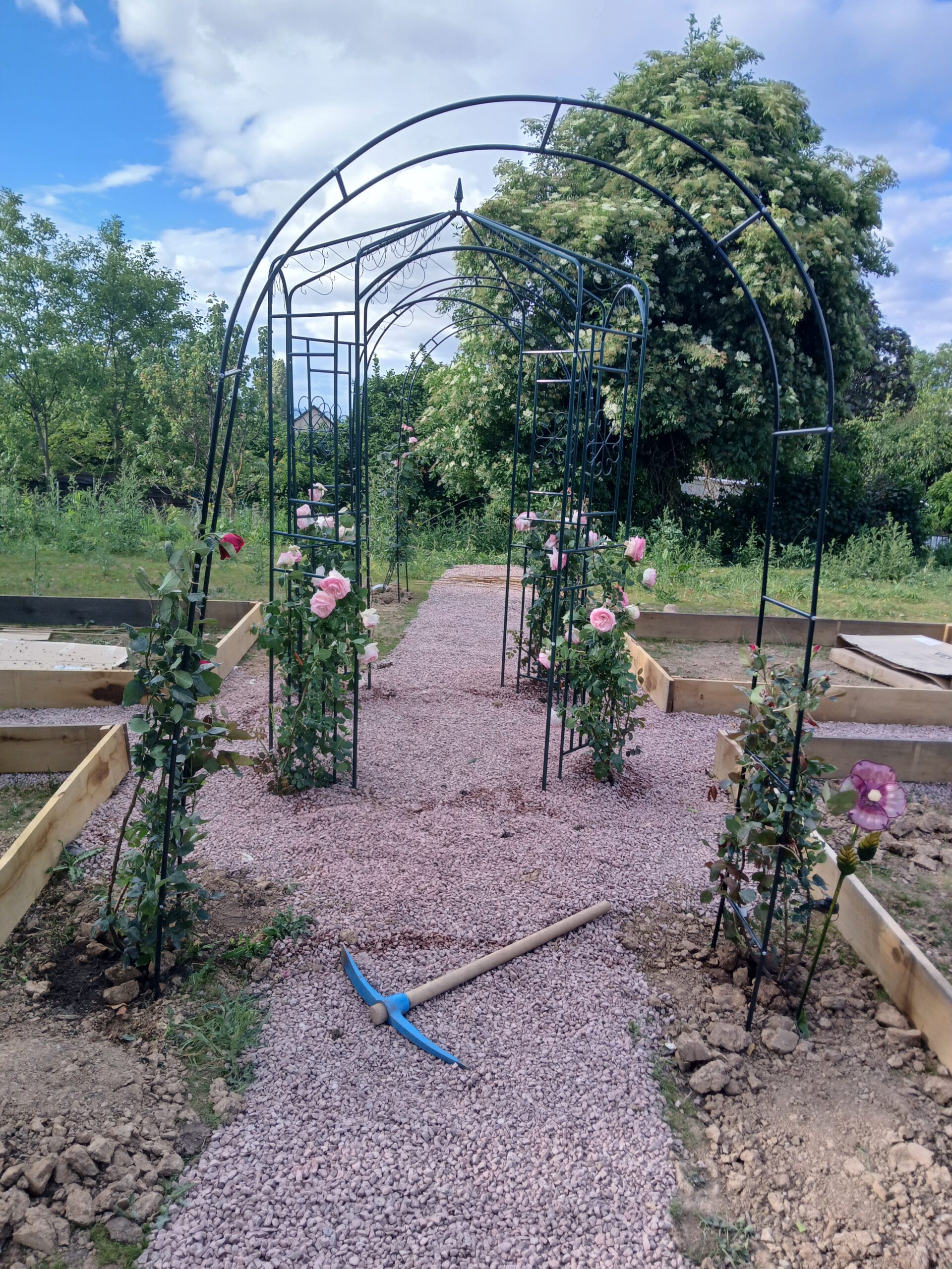 portfolio-03 20250525 184312 Scaled