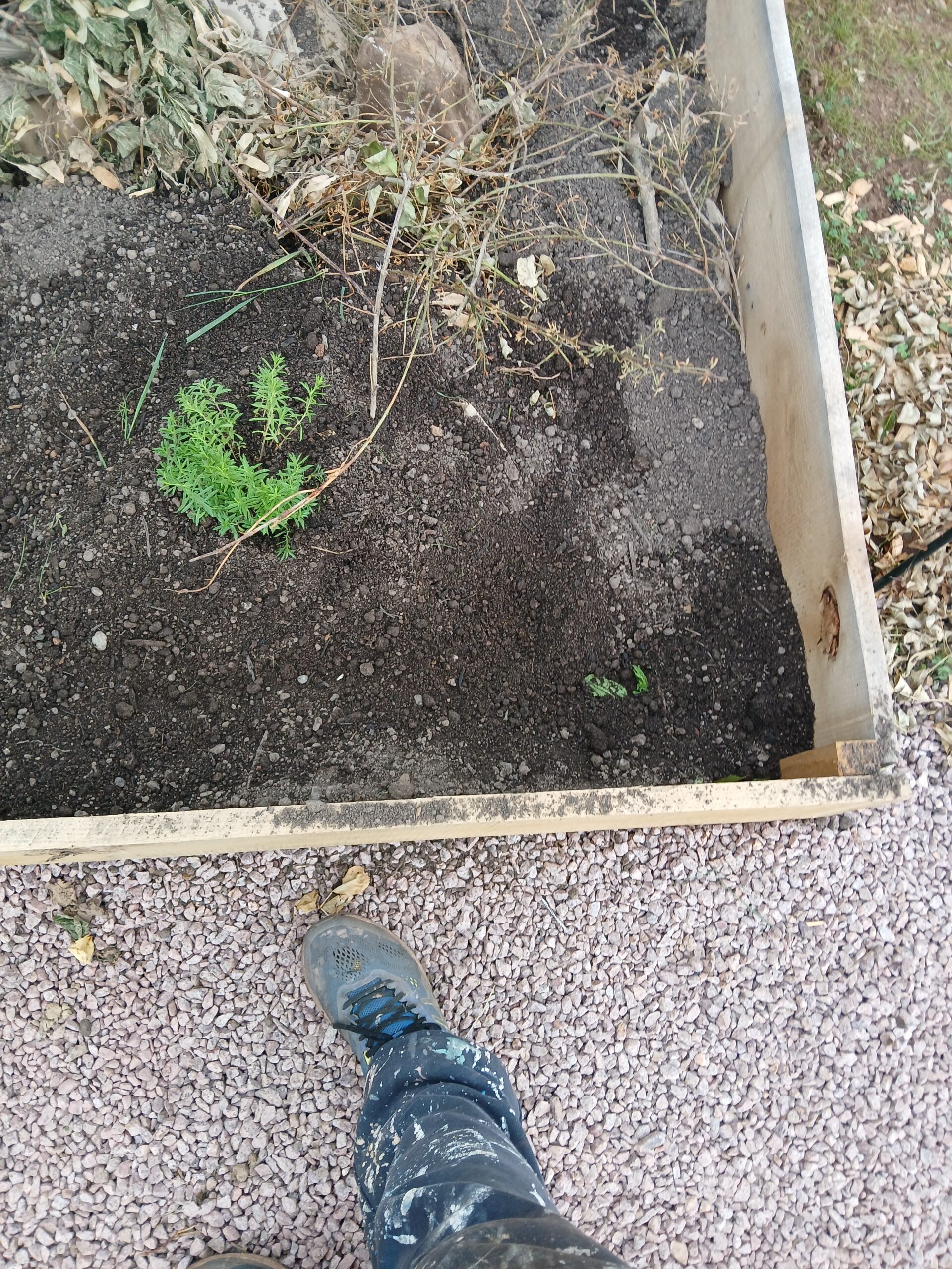 portfolio-05 20250601 174705 Scaled