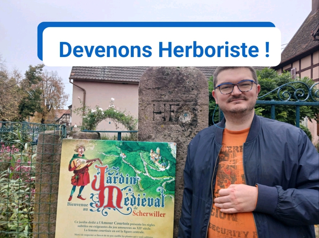 portfolio-02 Screenshot 20250520 073258 LinkedIn